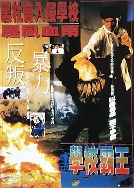 ck网站