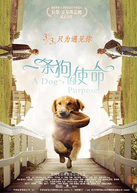 中文字幕精品1在线