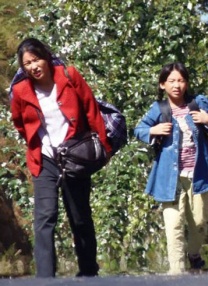 精品国偷自产在线