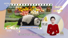 av亚洲午夜网站福利天堂